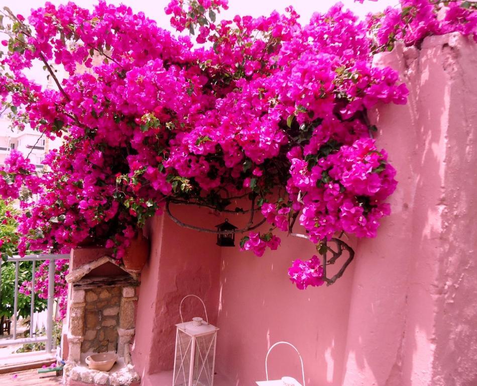 Casa Antica Διαμέρισμα Rhodes City Εξωτερικό φωτογραφία